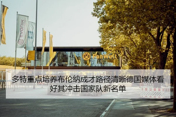 多特重点培养布伦纳成才路径清晰德国媒体看好其冲击国家队新名单